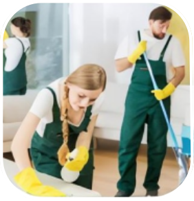House Cleaning